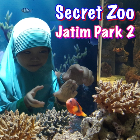 jatim park 2 secret zoo fantastic aquarium